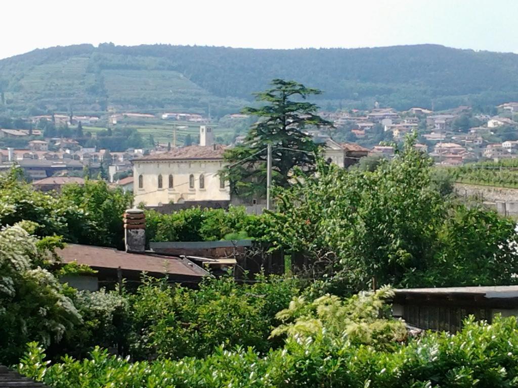 Agriturismo Corte Galvani 네그라르 외부 사진