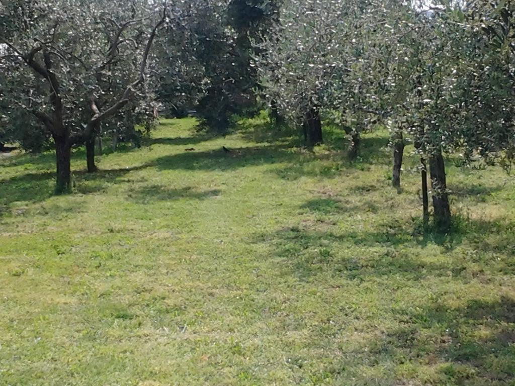 Agriturismo Corte Galvani 네그라르 외부 사진